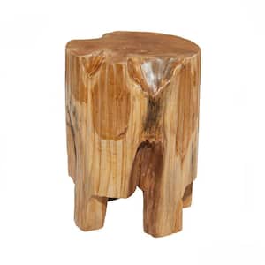 12 in. Brown Handmade Live Edge Tree Stump Medium Round Wood End Table
