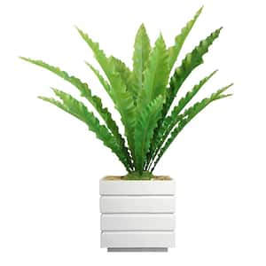 38 in. Real Touch Agave in Fiberstone Planter