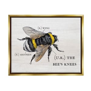 Anatomy of Honey Bee Pun Charming Bee's Knees by Daphne Polselli Floater Frame Animal Wall Art Print 17 in. x 21 in.