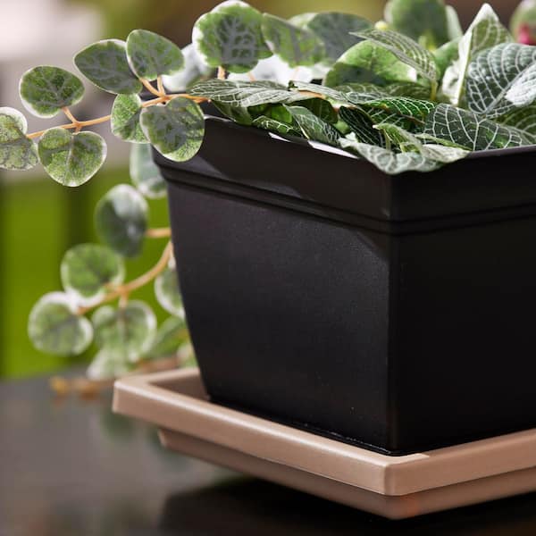 THE HC COMPANIES Farmhouse Venetian 30 in. Sandstone Rectangular