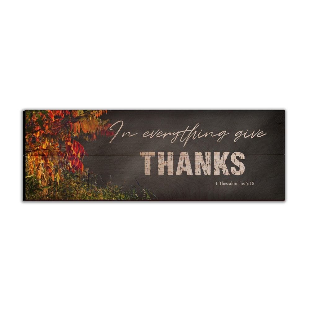 Decorative Thanksgiving Hanging Kitchen Towels (T1)