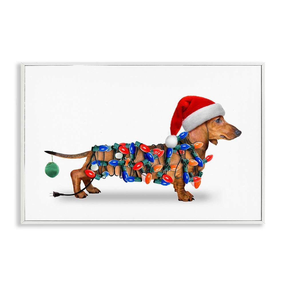 Christmas Lights Wrapped Dog by John Hovenstine 1 Piece White Framed Giclee Animal Art Print 16 in. x 24 in. price history on PriceWatchPro