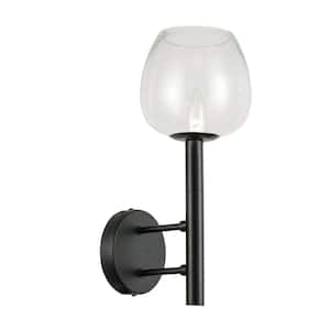 Nora 1-Light Matte Black Wall Sconce with Clear Glass