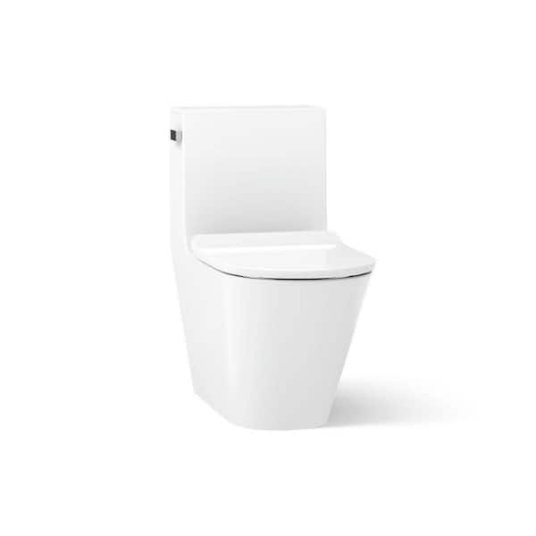 Brazn 12 in. Rough In 1-Piece 0.8 GPF Dual Flush Elongated Toilet in White Seat Not Included
