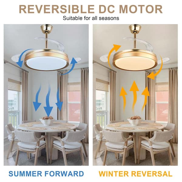 Bella Depot 42 in. Indoor Gold Retractable Ceiling Fan with LED