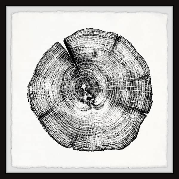 Unbranded "Burned Oak" by Marmont Hill Framed Nature Art Print 12 in. x 12 in.