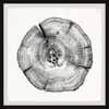 black-art-prints-tstump54bfpfl18-64.0