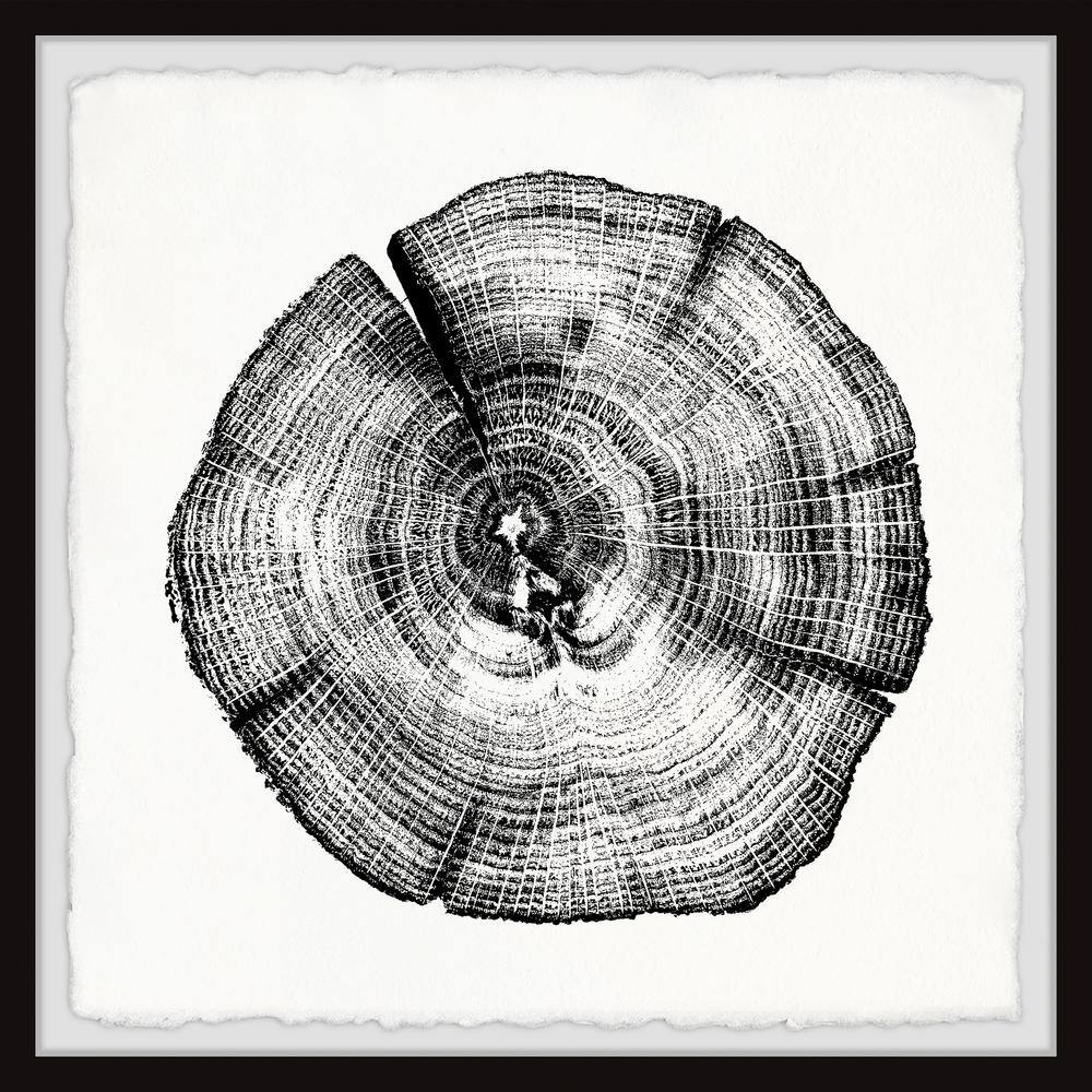 Burned Oak by Marmont Hill Framed Nature Art Print 18 in. x 18 in.