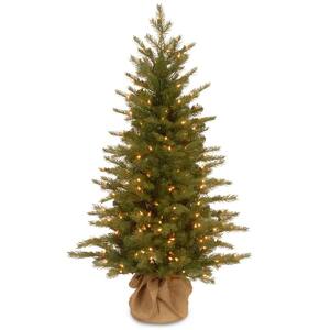 National Tree 3 Foot Everyday Collections Tree with 100 Clear Light in Green Pot ED3-307-30