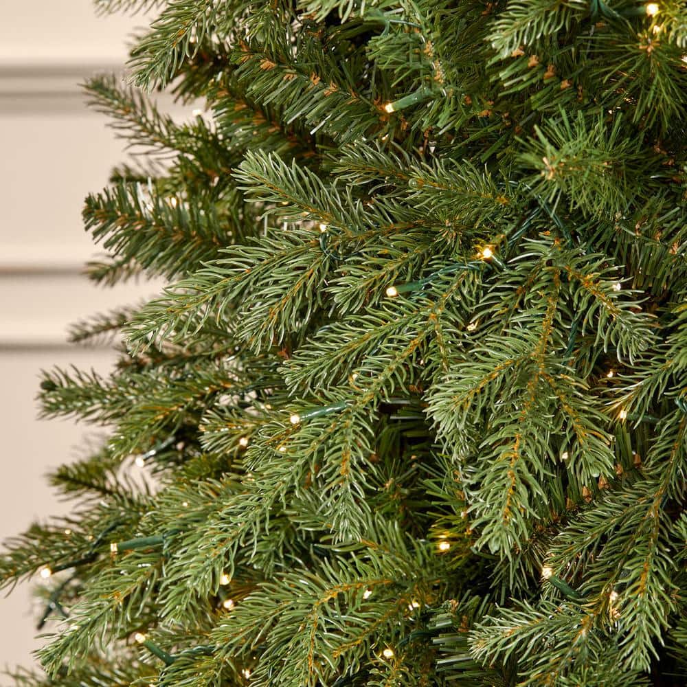 Buy 7.5 ft Grand Duchess Balsam Fir Christmas Tree Online at Lowest