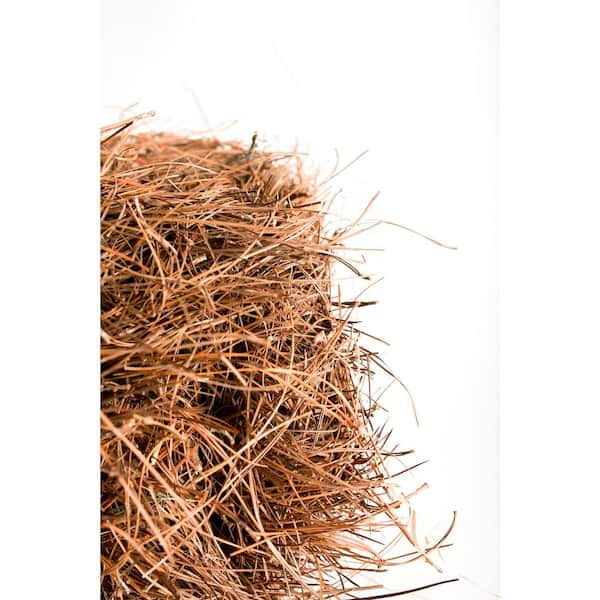 BELL NURSERY Mini Straw Bales (2-Pack) STRAWMINI2PK - The Home Depot