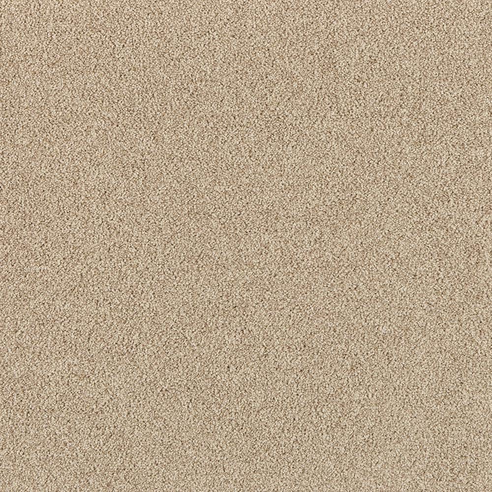 8 in. x 8 in. Texture Carpet Sample - Tailored Trends II -Color Polished price history on PriceWatchPro