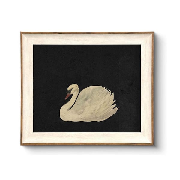 Unbranded Swan Framed Art Canvas Prints, Vintage Home Decor, Animal Oil Painting Picture, 12 in x 10 iN