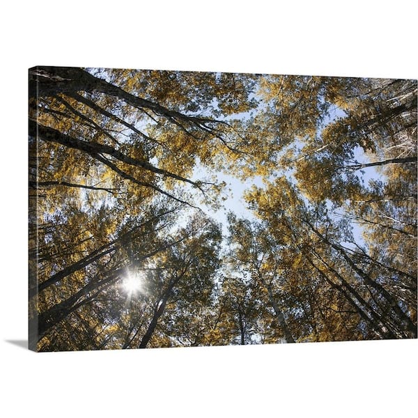 GreatBigCanvas "Fall color of large trees in Acadia National Park in Maine" by Scott Stulberg Canvas Wall Art