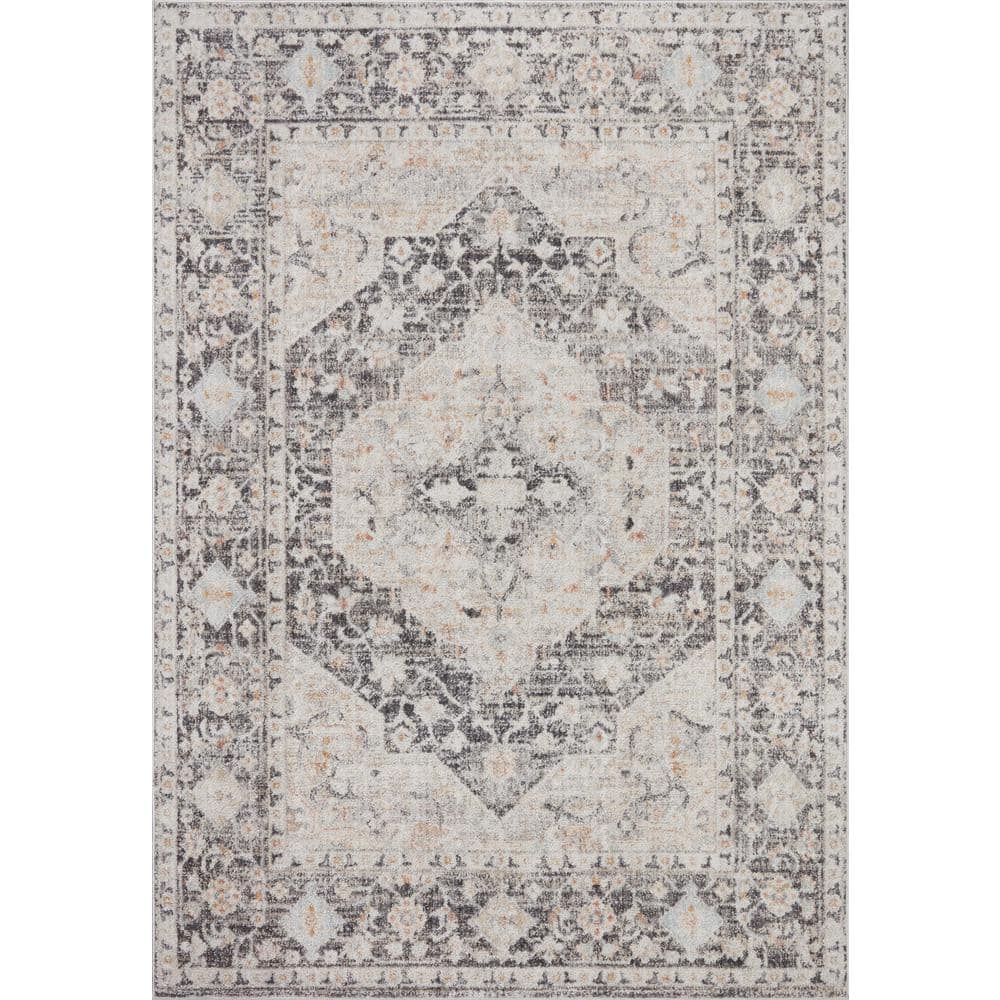 Monroe Charcoal/Multi 6 ft. 7 in. x 9 ft. 3 in. Traditional Area Rug price history on PriceWatchPro