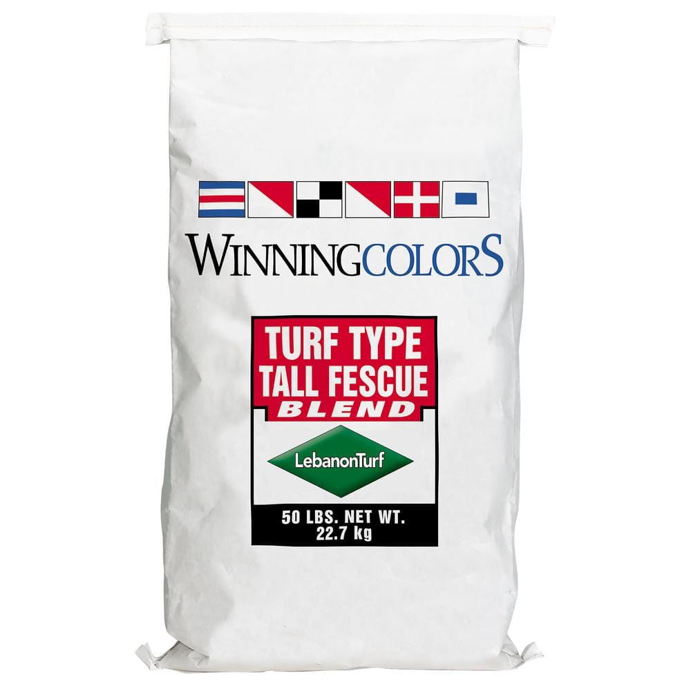 BLEND FESCUE TALL 50LB