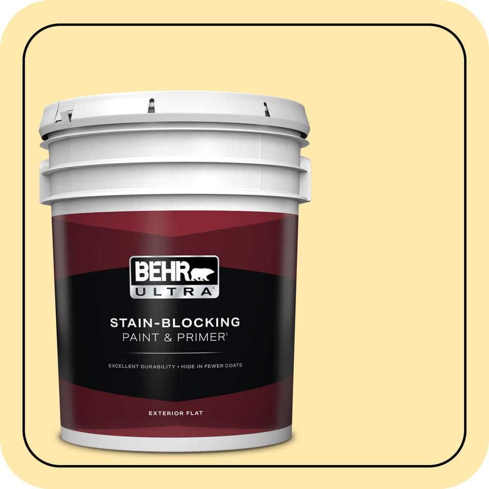 5 gal. #P290-2 Sweet as Honey Flat Exterior Paint & Primer price history on PriceWatchPro
