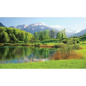 Lake View - Weather Proof Scene for Window Wells or Wall Mural - 100 in. x 60 in.