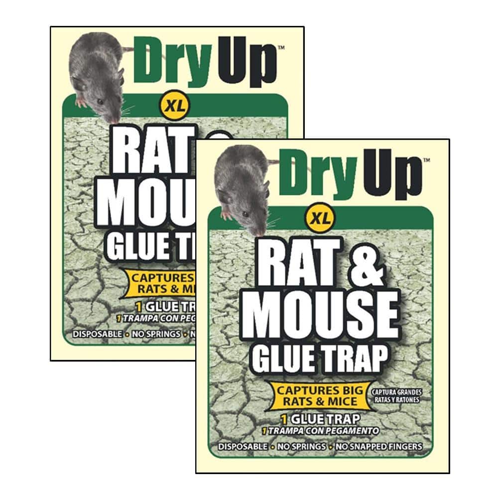 2PCS Rat Trap Large Mouse Glue Trap Snare Mice Rodent Sticky Board Super Sticky 