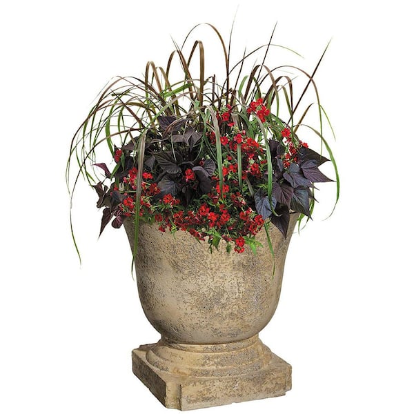 CHG CLASSIC HOME & GARDEN 22 in. Natural Elegant Lava Stone Urn