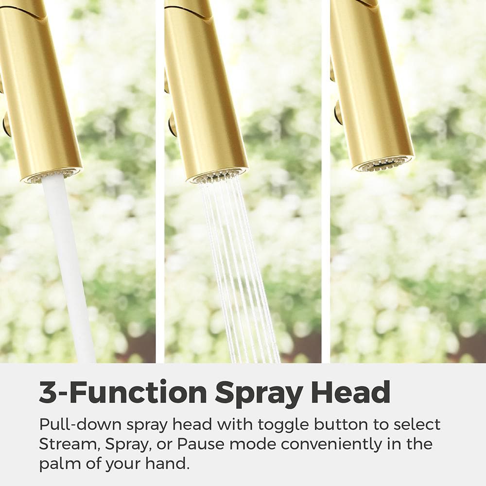 Tasso Brushed Gold Pull-Down Kitchen Faucet with Soap Dispenser