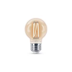 40- -Watt Equivalent G16.5 Smart Wi-Fi WiZ LED Filament Light Bulb Tunable White (1-Bulb)