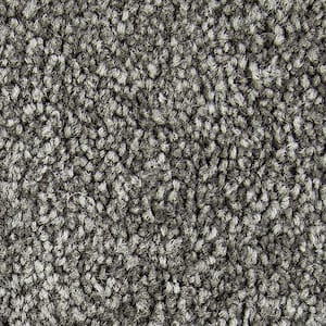 8 in. x 8 in. Texture Carpet Sample - Gentle Peace I -Color Destiny