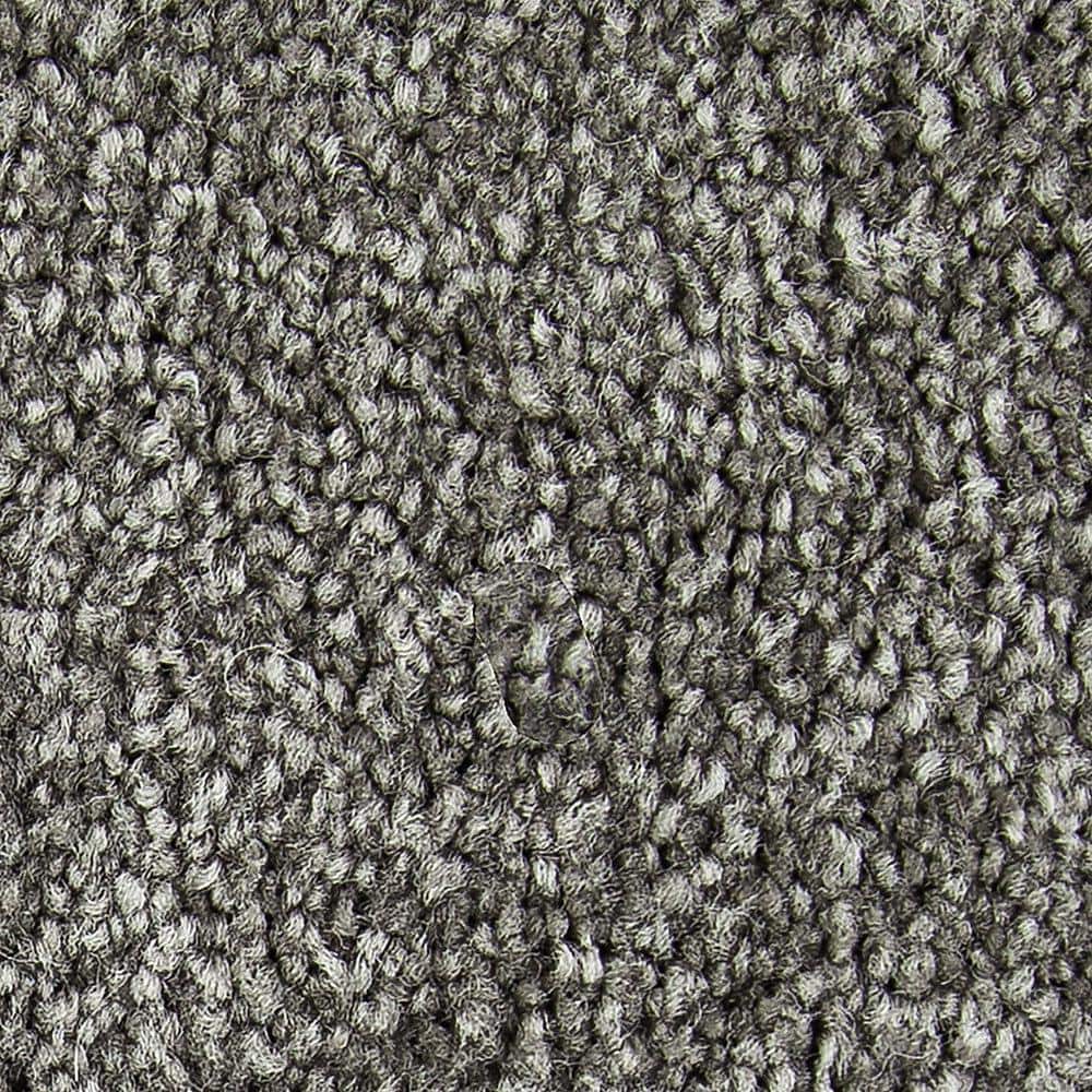 8 in. x 8 in. Texture Carpet Sample - Gentle Peace II -Color Destiny price history on PriceWatchPro