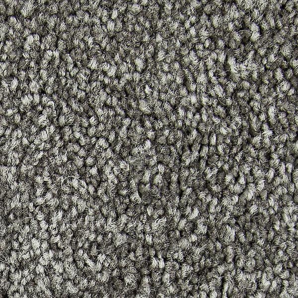 Lifeproof with Petproof Technology Gentle Peace II  - Destiny - Beige 55 oz. Triexta Texture Installed Carpet