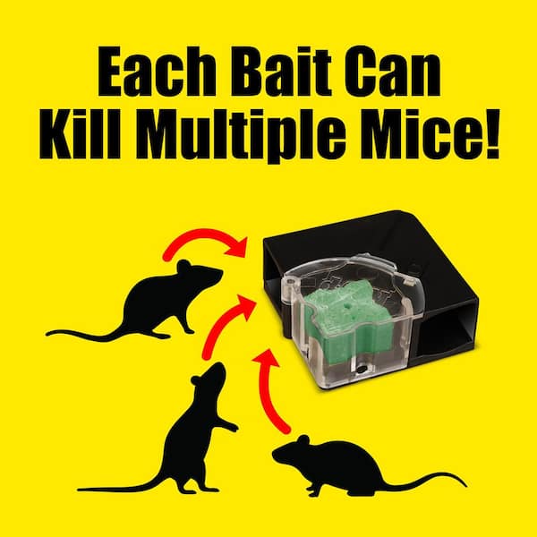 d-Con Refillable Corner Fit Mouse Poison Bait Station 