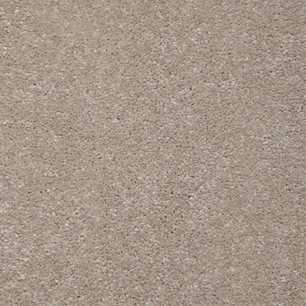 TrafficMaster Carpet Sample - Starry Night II - Color Neutral Taupe Texture 8 in. x 8 in.