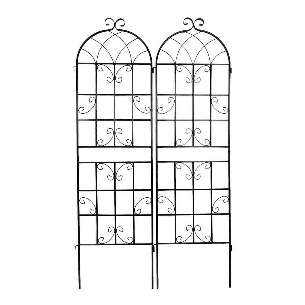 2-Pack 71 in. x 19.7 in. Metal Garden Trellis Outdoor Rustproof Flower Support for Climbing Plants, Black