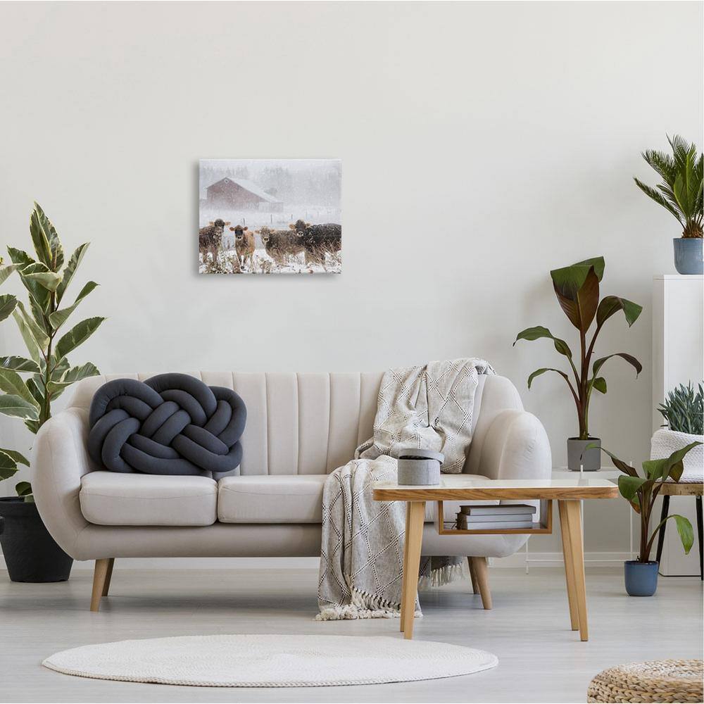 Winter Farm Scene with Cows on Canvas Print, 20" x 16"
