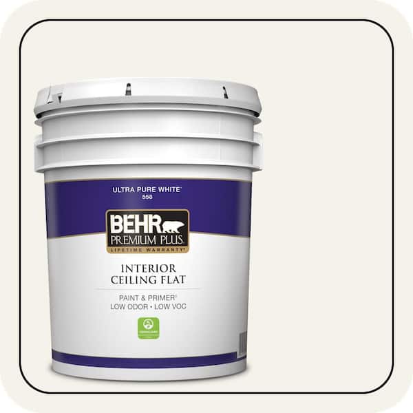 5 gal. #BWC-11 Fresh Popcorn Ceiling Flat Interior Paint & Primer