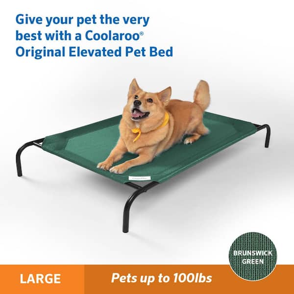 raised dog bed pets at home