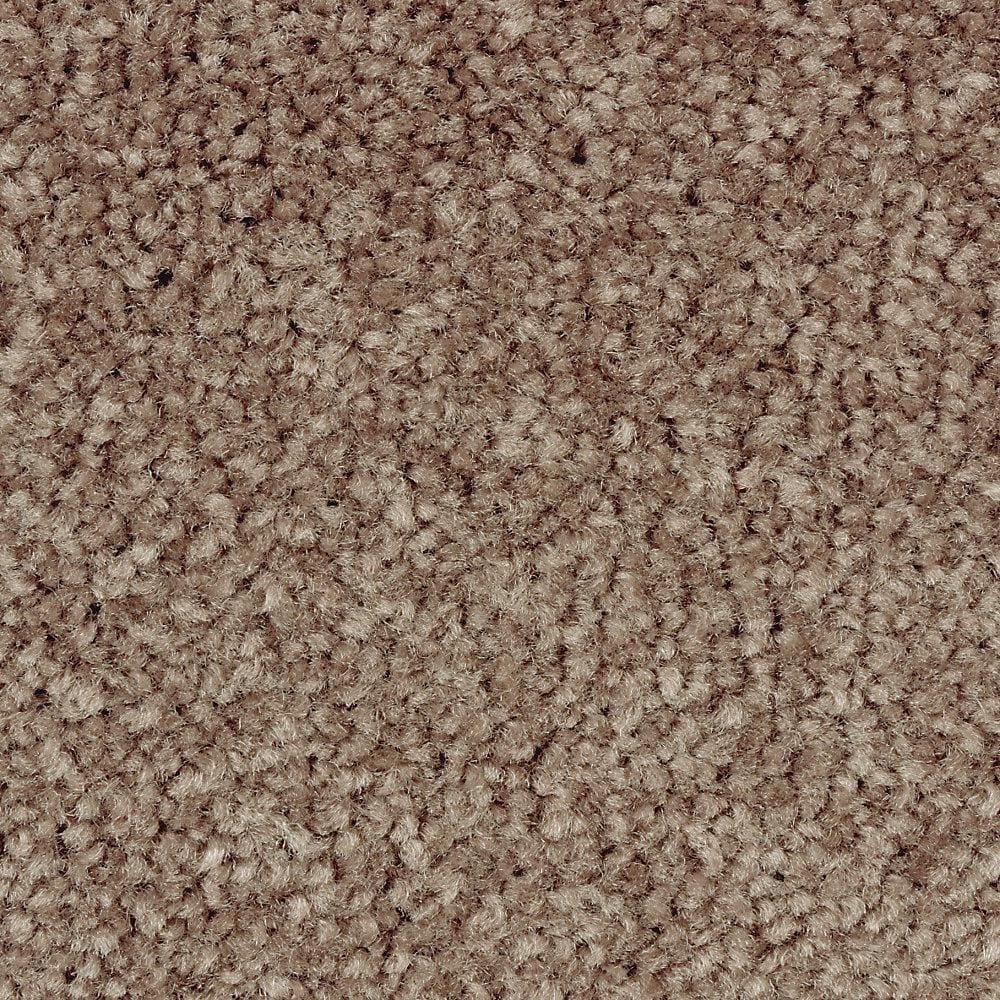 8 in. x 8 in. Texture Carpet Sample - Mason II -Color Incense price history on PriceWatchPro