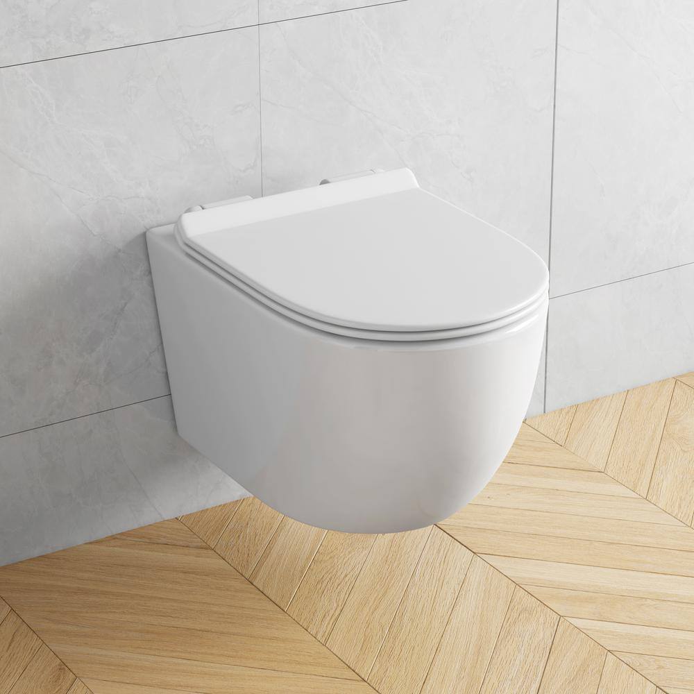 Hampton White Wall Mounted Dual Flush Toilet