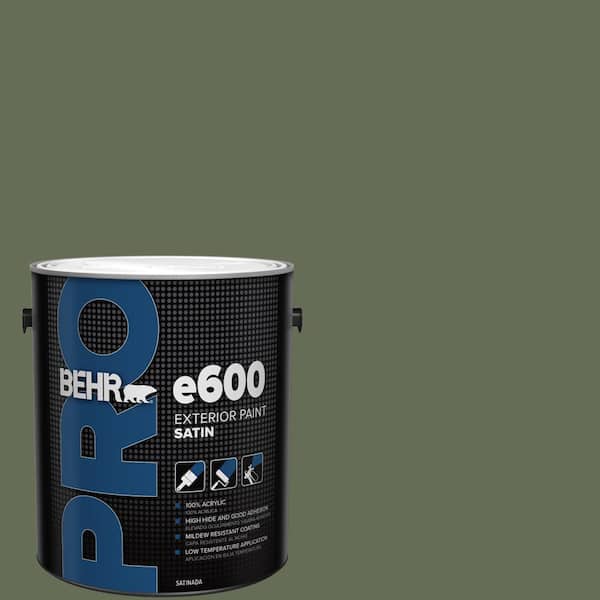 1 gal. #ECC-38-3 Sea Fern Satin Exterior Paint