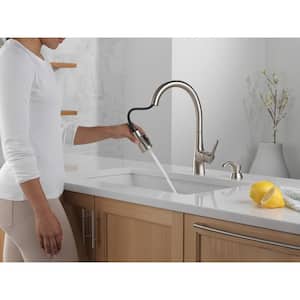 Bacuri Single Handle Pull-Down Sprayer Kitchen Faucet with Shield Spray and Soap Dispenser in Spotshield Stainless