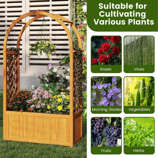 Gymax 2-Pieces 29 in. W Wooden Raised Garden Bed with Lattice