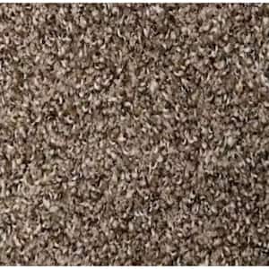 8 in. x 8 in. Texture Carpet Sample - Truly -Color Coffee