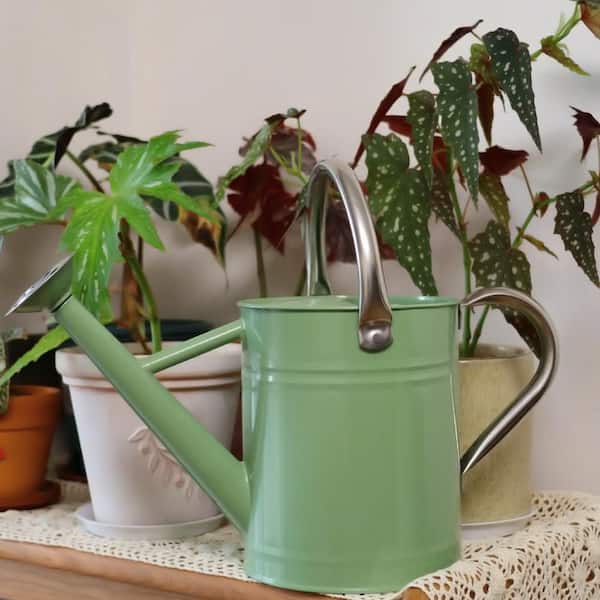 OGETFUUR 1 gal. Cream Green Metal Watering Can with Stainless Steel Handle for Outdoor Indoor Garden Plants Watering