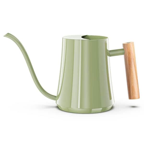 Justincity 0.27 gal. Sage Green Stainless Steel Metal Watering Can Indoor  Long Spout Decorative Pot for House Bonsai Plants 1 Piece 336SA1128D - The  Home Depot