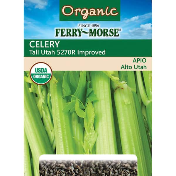 Organic Celery Tall Utah Vegetable Seed