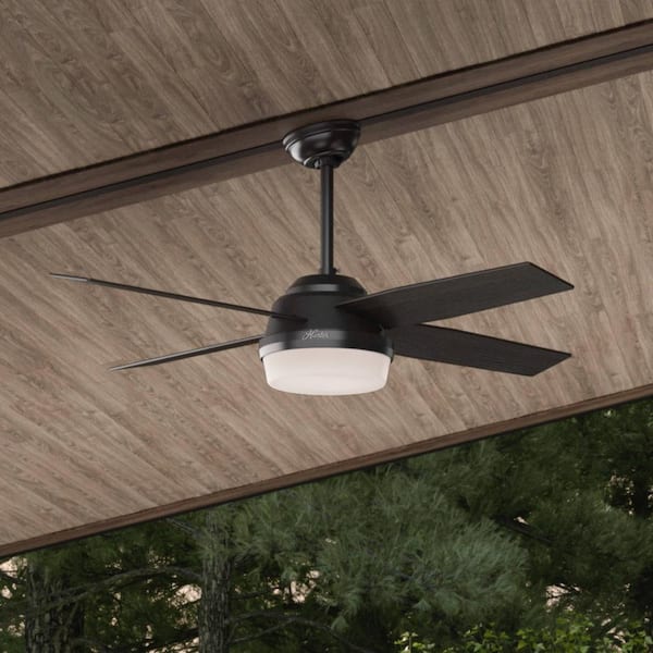 Hunter Dempsey 52 in. LED Indoor/Outdoor Matte Black Ceiling Fan with Light and Remote