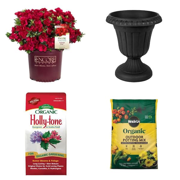 2 Gal. Autumn Fire Azalea Shrub, 13 in. x 15 in. Black Urn, 8 lbs. Holly Tone Fertilizer and 25 qt. Potting Mix Combo