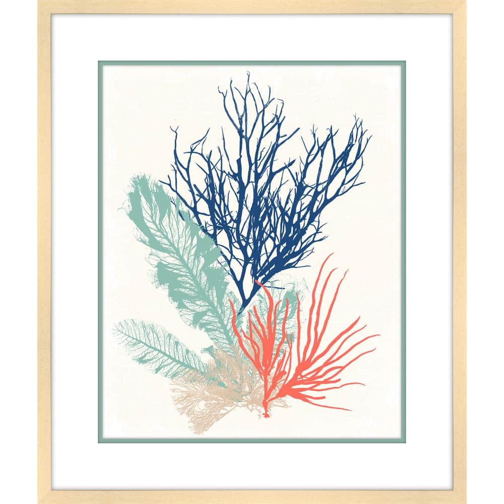 Melissa Van Hise Sea Grass Collage II Framed Giclee Coastal Art Print ...