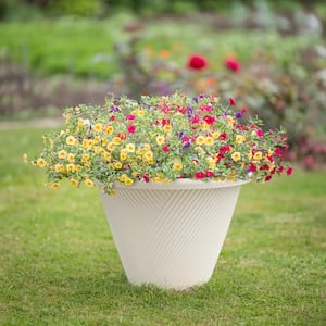 16 in. Eleanora Cream Plastic Self-Watering Planter (16 in. D x 11.4 in. H)