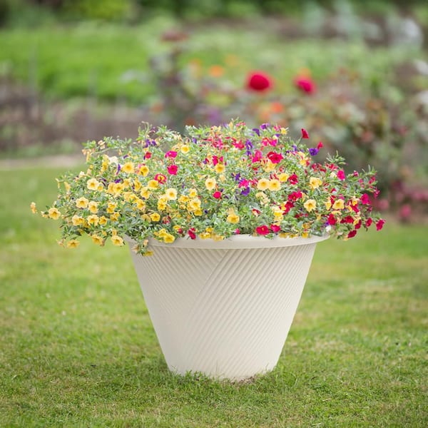 Eleanora Large Cream Plastic Self-Watering Lightweight Round Planter (16 in. L x 16 in. W x 11.4 in. H)