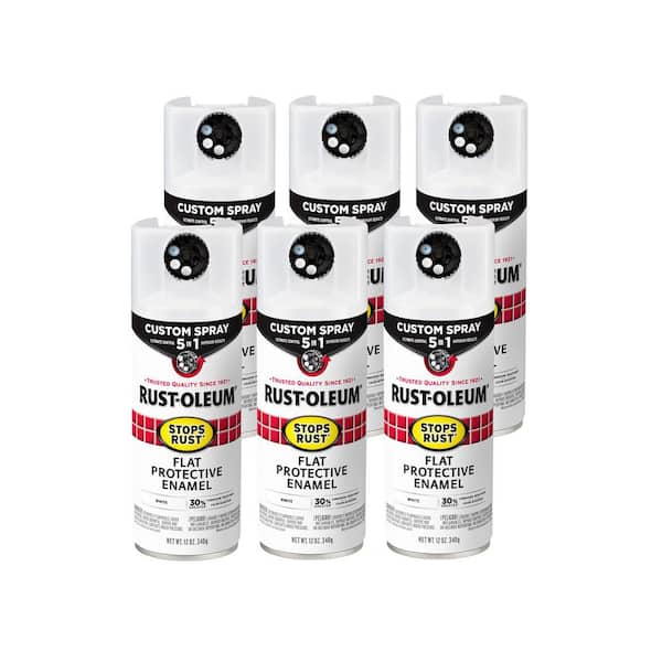 12 oz. Custom Spray 5-in-1 Flat White Spray Paint (Case of 6)